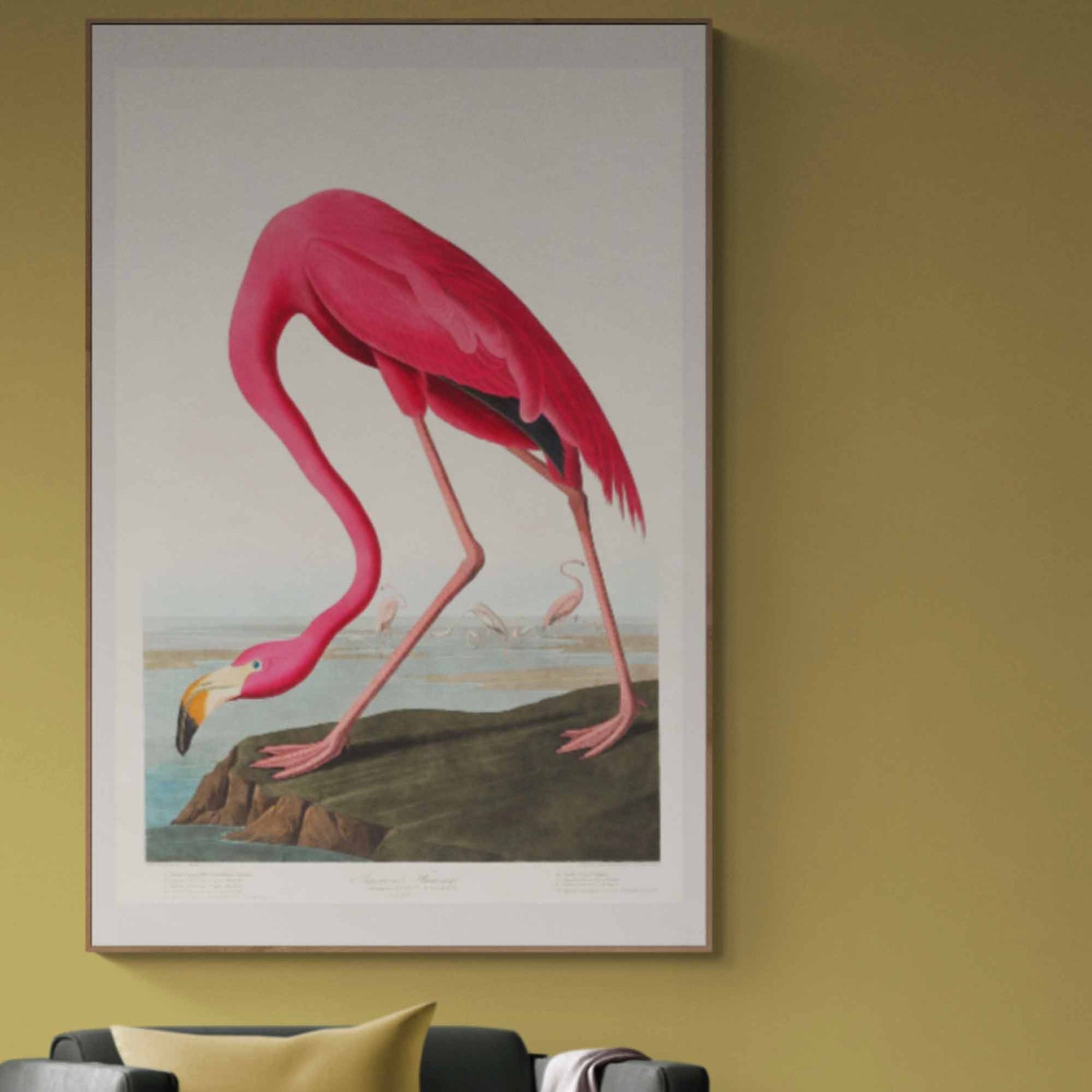 Flamingo Bird Vintage Fine Art Print