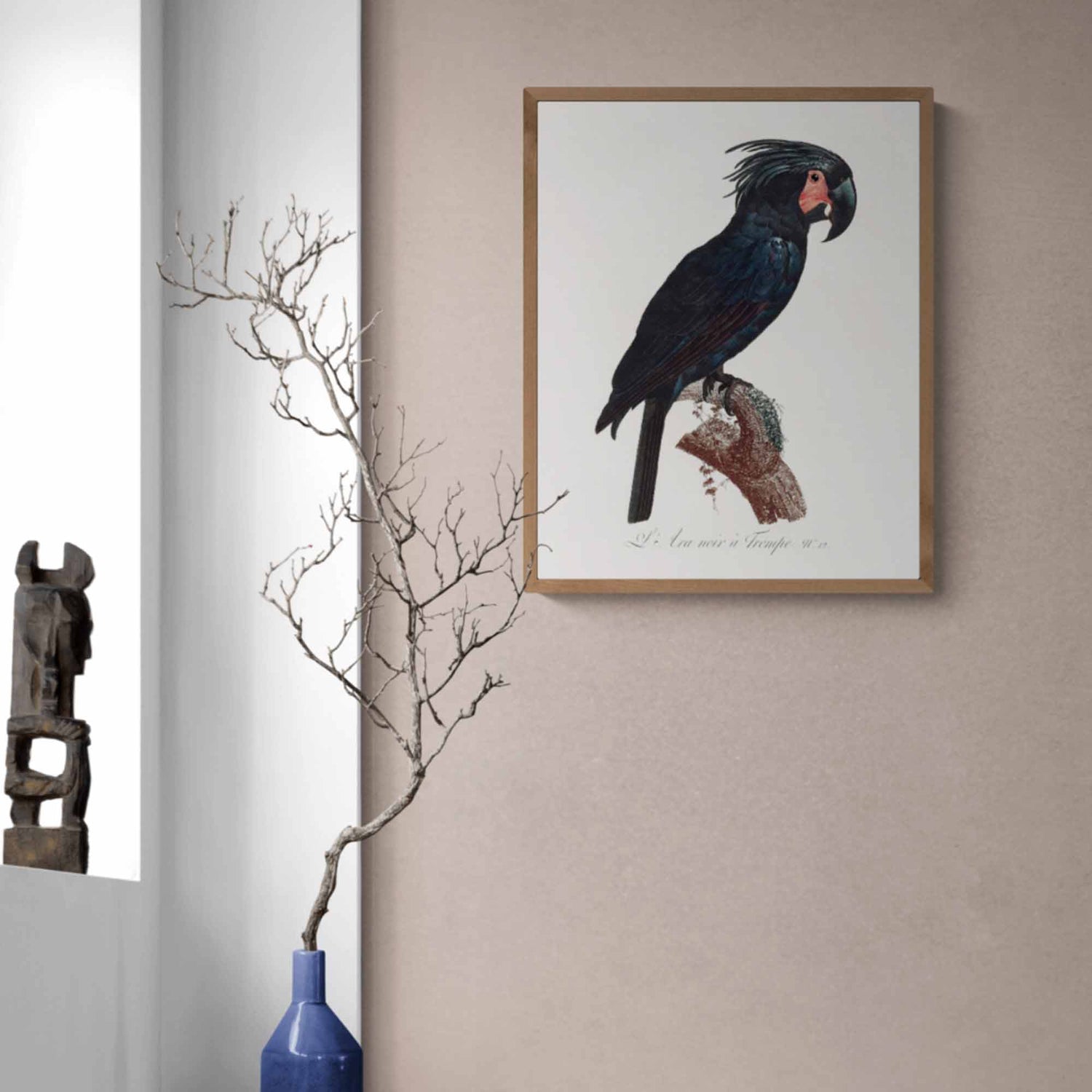Palm Cockatoo Bird Print