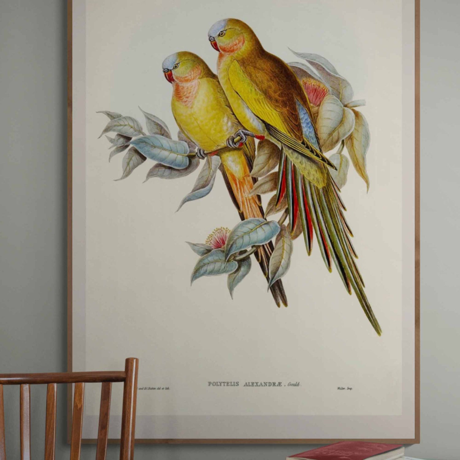 Parakeets Fine Art Print